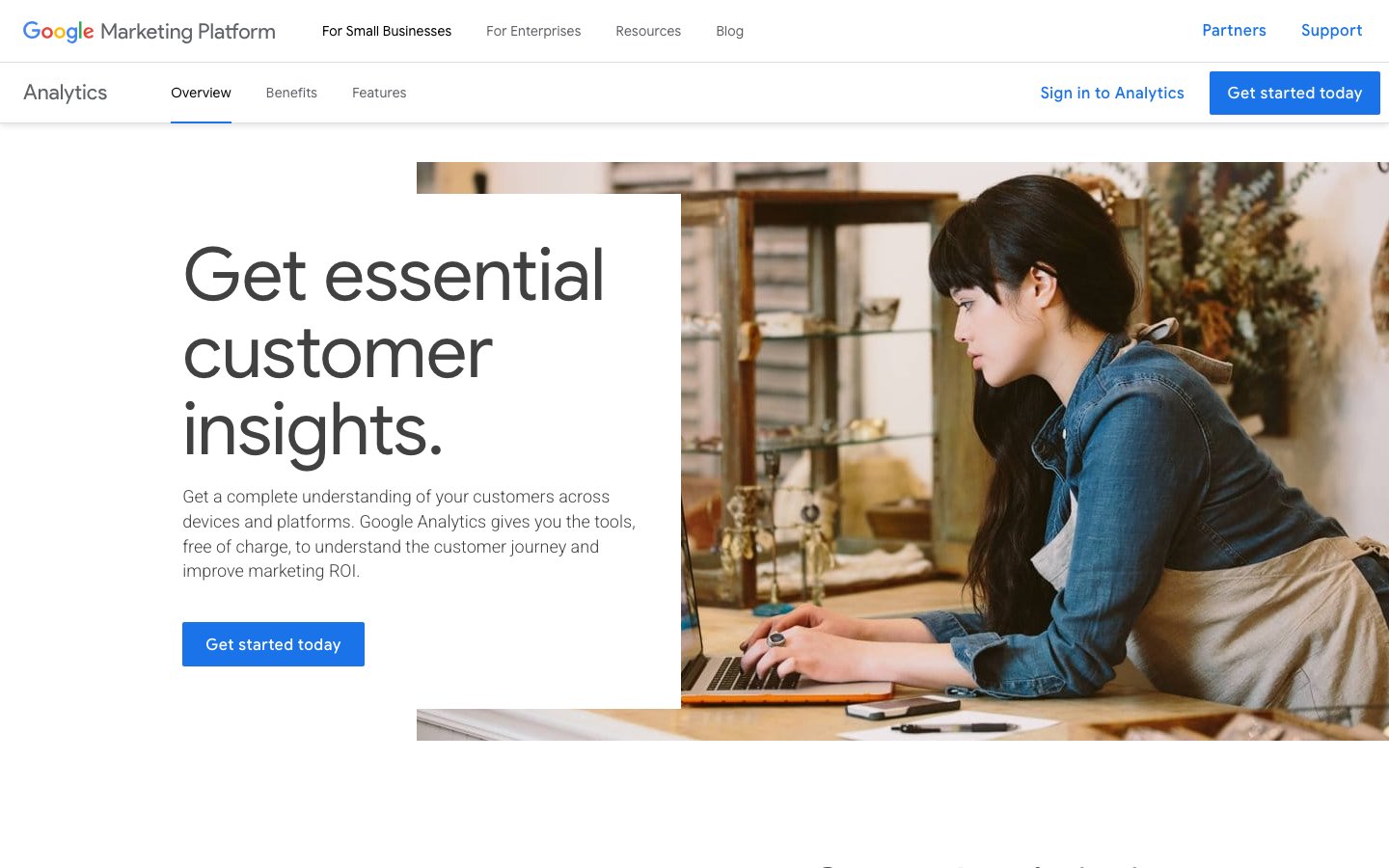 Google Analytics interface