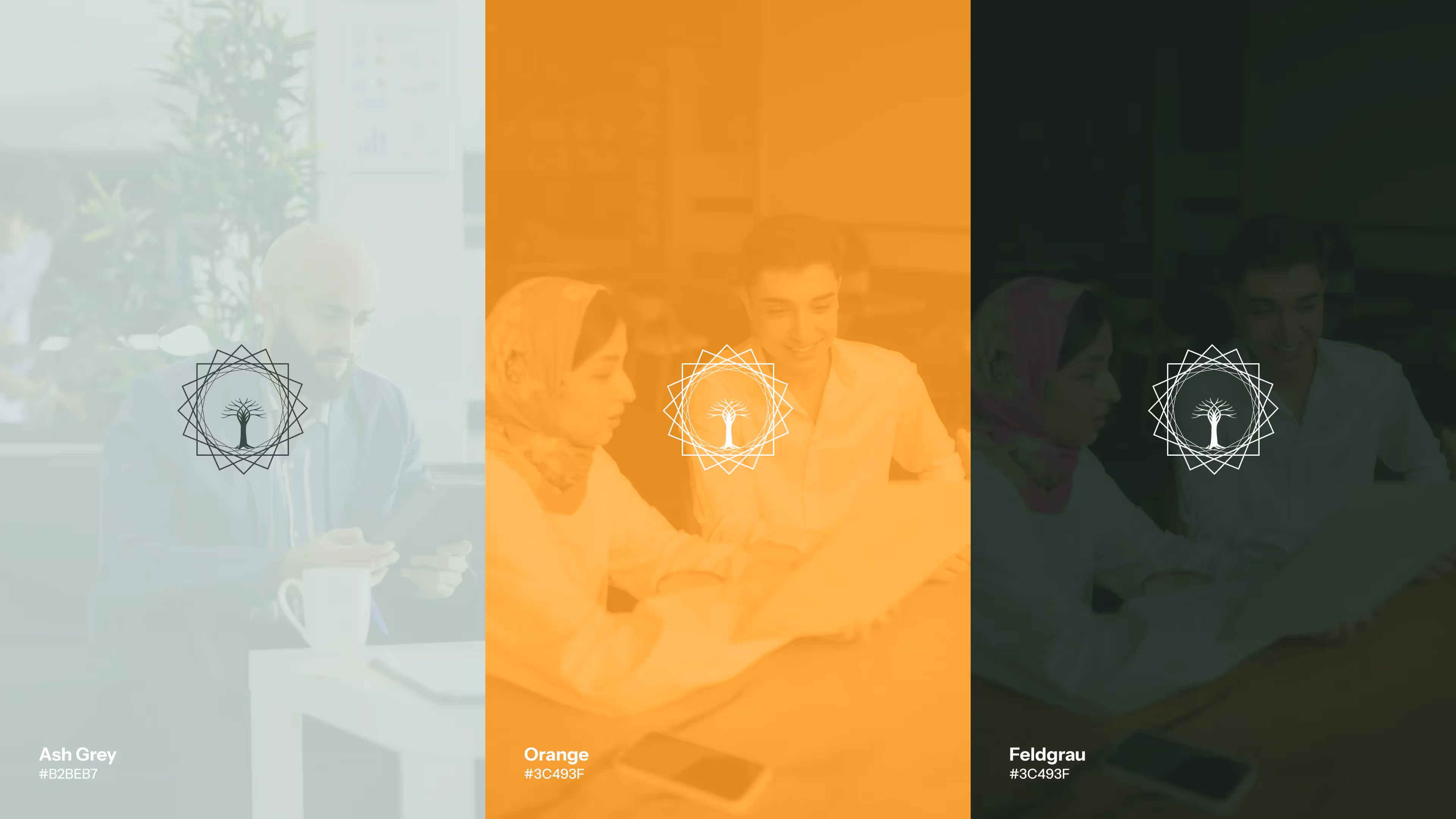 Alma Consultancy — 13