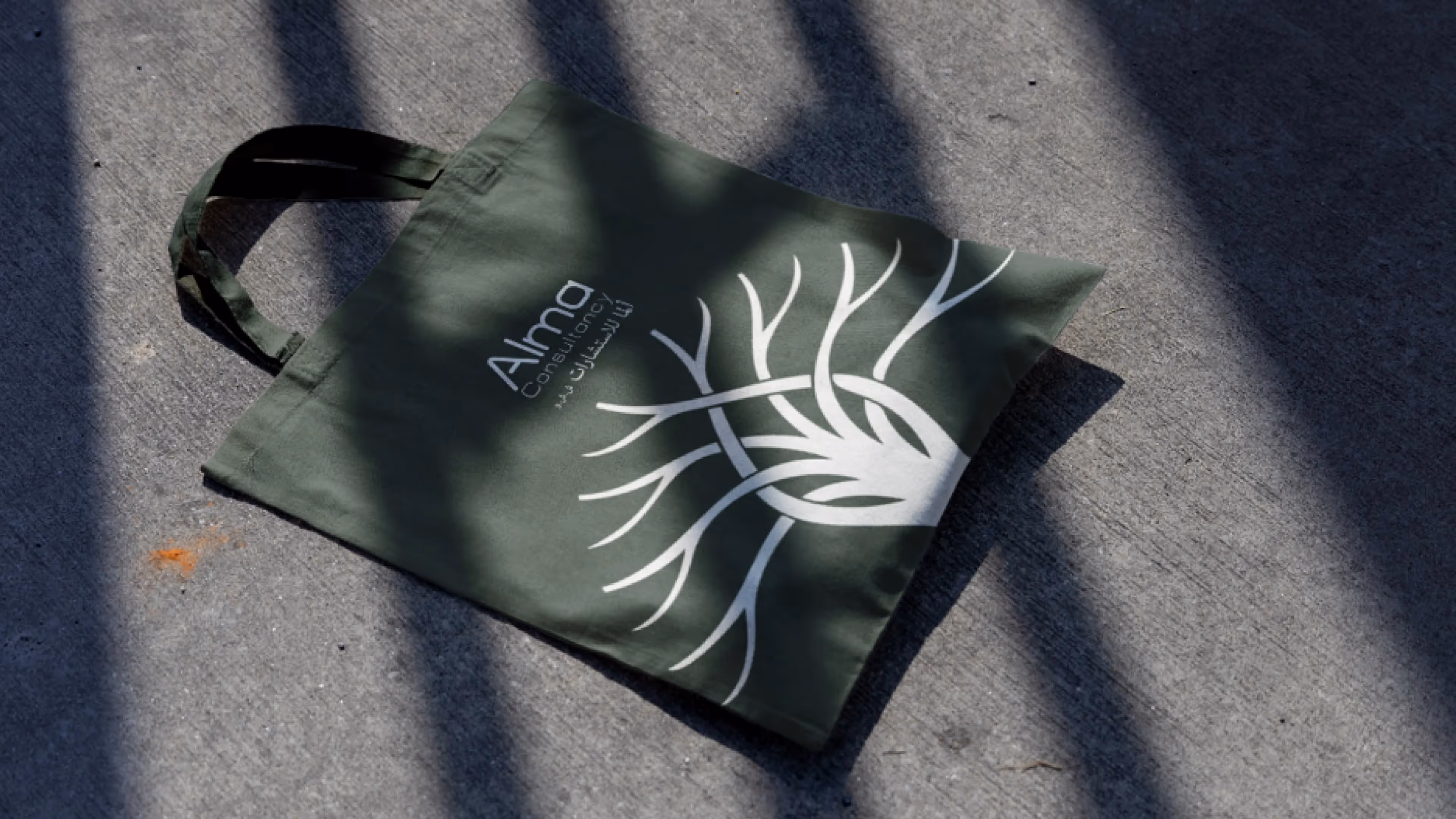 Alma Consultancy — 5