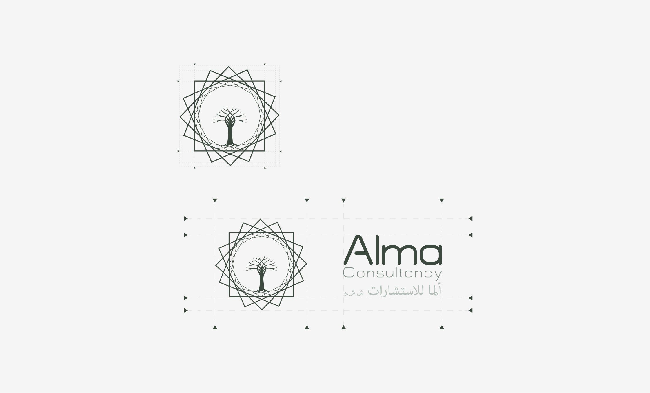 Alma Consultancy — 17
